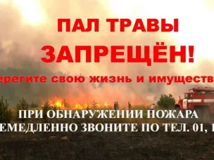 Пал сухой травы запрещен!